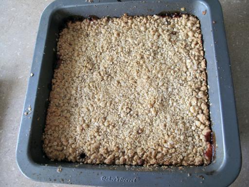 cranberroatmealbars6_512x384