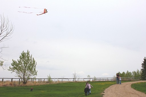 kite4