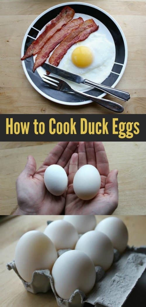 How To Cook Duck Eggs The Kitchen Magpie