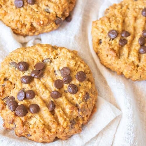 Whole Wheat Oatmeal Cookies. With Extra Goodies.