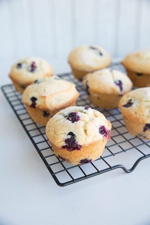 The Best Bakery Style Blueberry Muffins Ever - The Kitchen Magpie