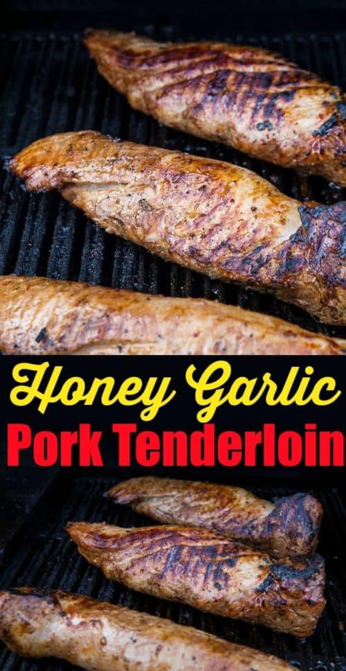 Honey Garlic Pork Tenderloin Marinade - The Kitchen Magpie