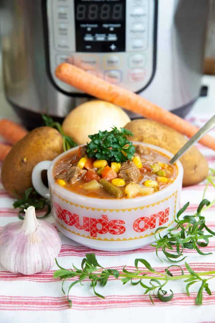 Instant Pot Vegetable Beef Soup - The Kitchen Magpie