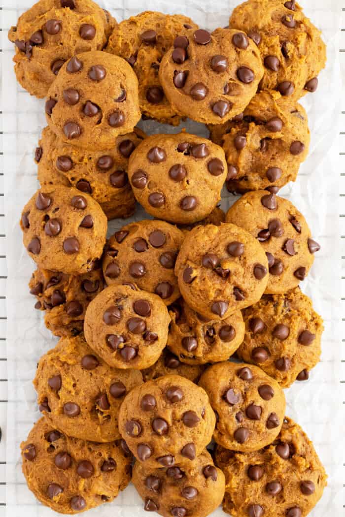 Pumpkin Chocolate Chip Cookies - The Kitchen Magpie