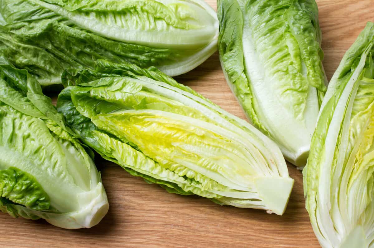How To Store Lettuce to Keep It Fresh and Crisp