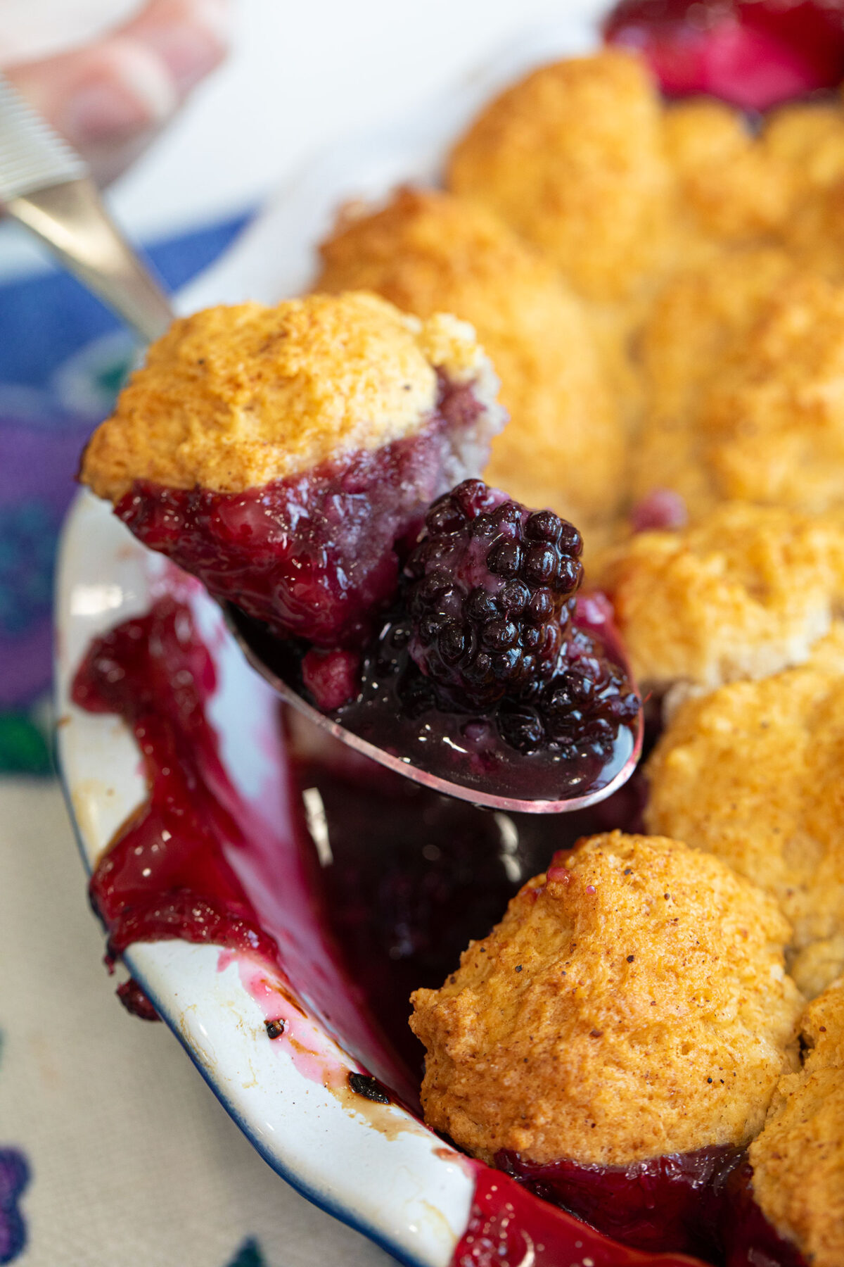 close up of the pie dish with blackberry cobbler on a spoon